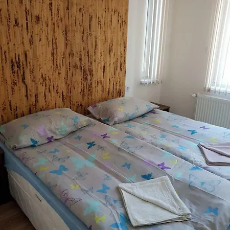 Guest house Haus Baron 5