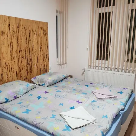 Haus Baron 5 Guest house *